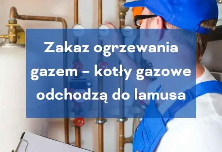 Zakaz ogrzewania gazem, zakaz kotłów gazowych