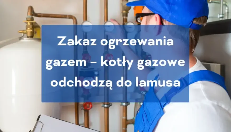 Zakaz ogrzewania gazem, zakaz kotłów gazowych