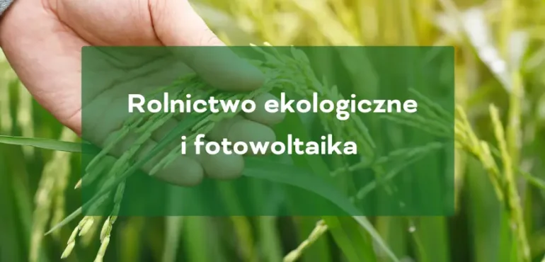 Rolnictwo ekologiczne i fotowoltaika