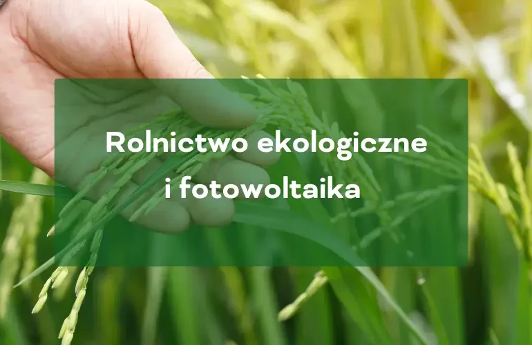 Rolnictwo ekologiczne i fotowoltaika