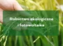 Rolnictwo ekologiczne i fotowoltaika