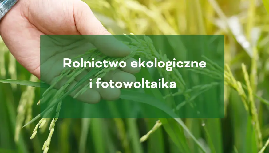 Rolnictwo ekologiczne i fotowoltaika