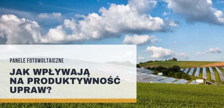 Panele fotowoltaiczne jak wpływają na produktywność upraw