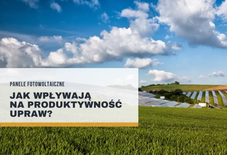 Panele fotowoltaiczne jak wpływają na produktywność upraw